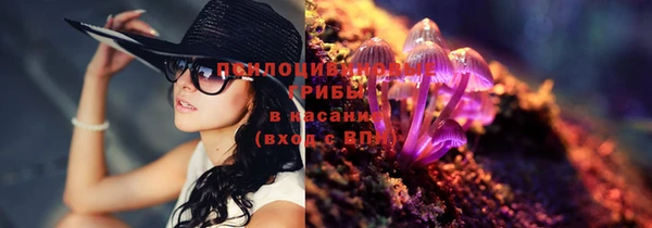 apvp Алзамай