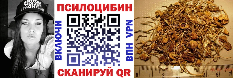 где продают наркотики Мытищи Псилоцибиновые грибы Magic Shrooms